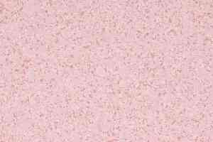 Линолеум Mipolam Affinity 4481 Rosaspina фото  | FLOORDEALER